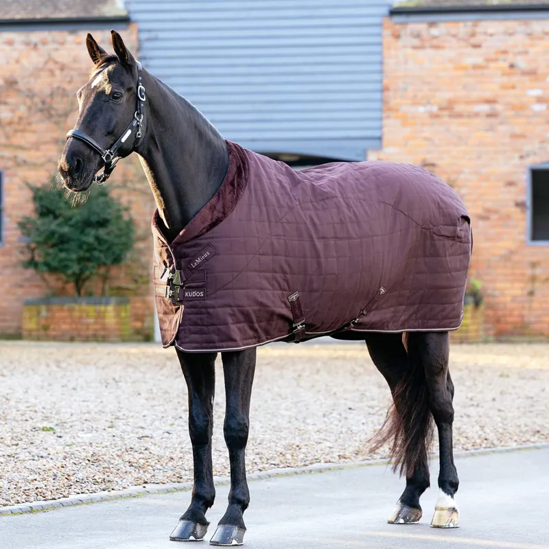 LeMieux Kudos Luxe Lined 100g Stable Blanket - Damson