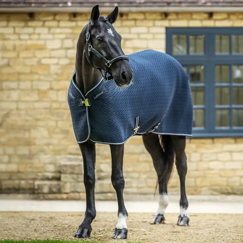 LeMieux Kudos 3D Mesh Travel Rug - Navy
