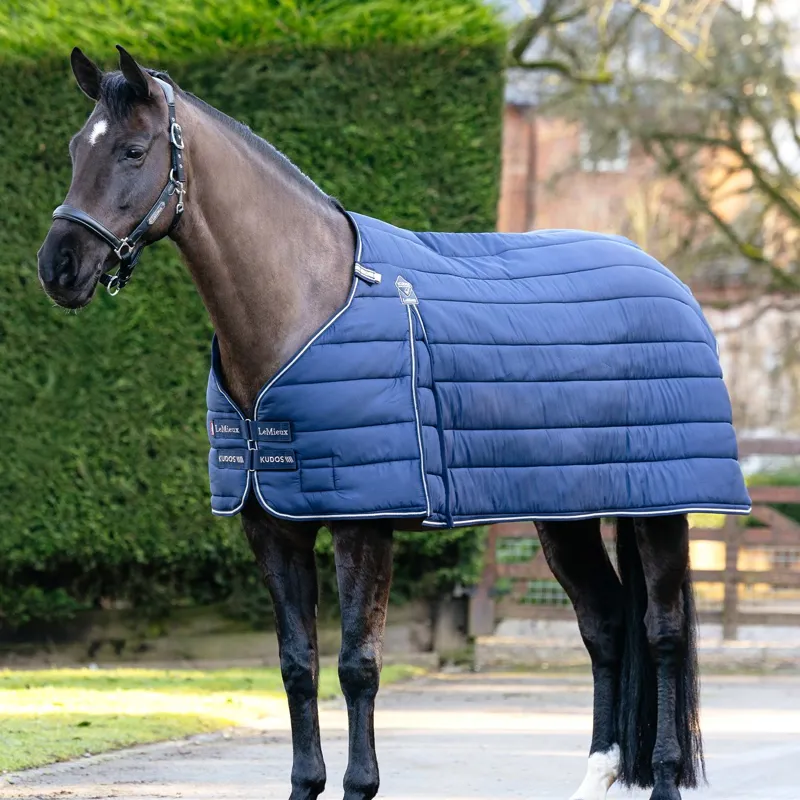 LeMieux Kudos 100g Blanket Liner - Navy-10