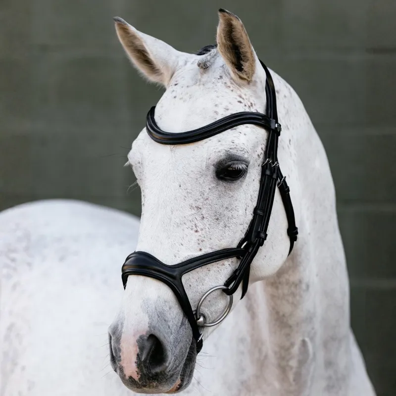 LeMieux Kudos Sport Bridle - Black