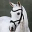LeMieux Kudos Sport Bridle - Black
