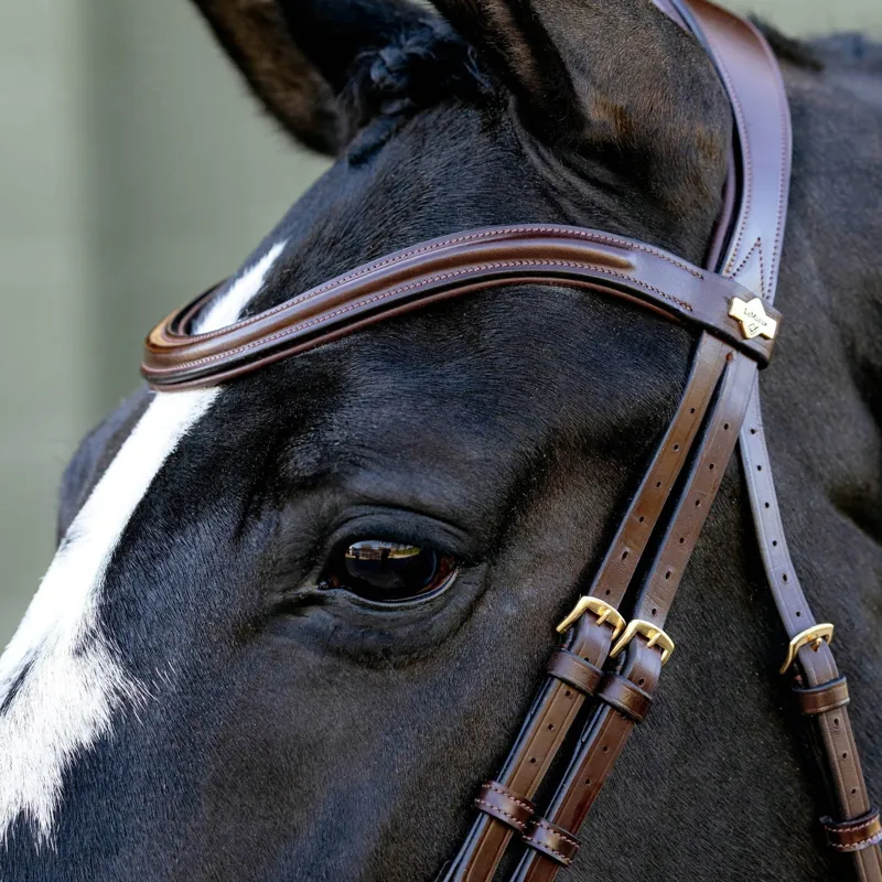 LeMieux Kudos Sport Bridle - Brown-2
