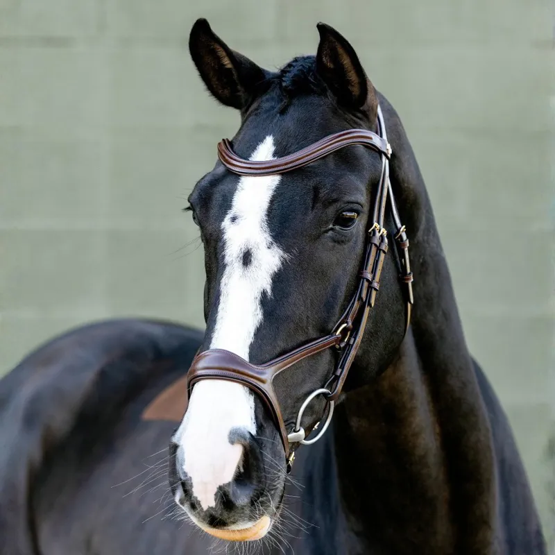 LeMieux Kudos Sport Bridle - Brown
