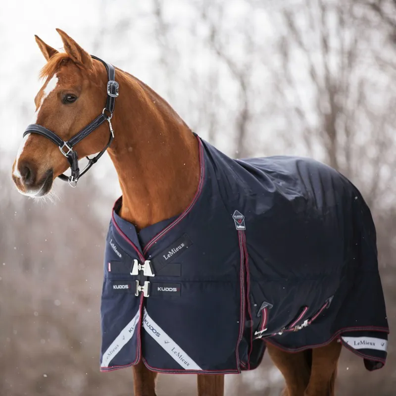 LeMieux Kudos 100g Detachable Neck Turnout Blanket - Navy-1