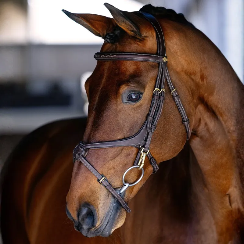 LeMieux Kudos Work Figure 8 Bridle - Brown/Brass