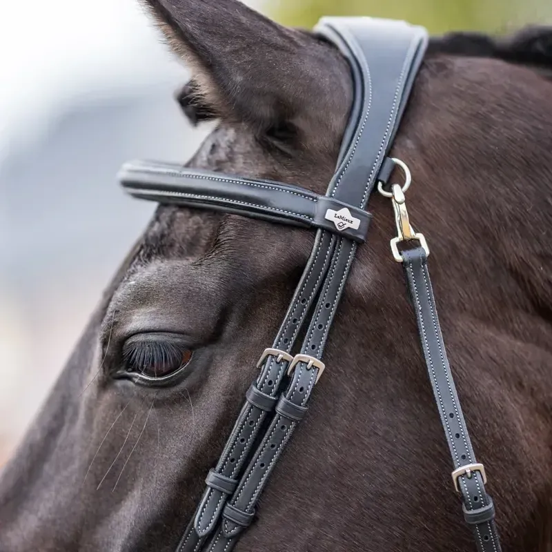 LeMieux Kudos Work Detachable Flash Bridle - Black-3