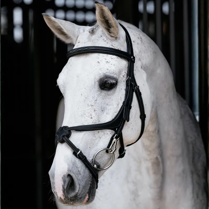 LeMieux Kudos Work Grackle Bridle - Black/Silver