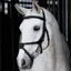 LeMieux Kudos Work Grackle Bridle - Black/Silver