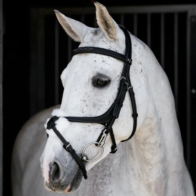 LeMieux Kudos Work Grackle Bridle - Black/Silver-2