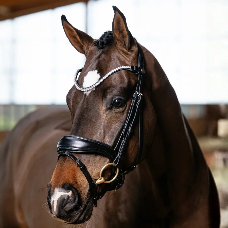 LeMieux Kudos Anatomical Dressage Bridle - Black-1