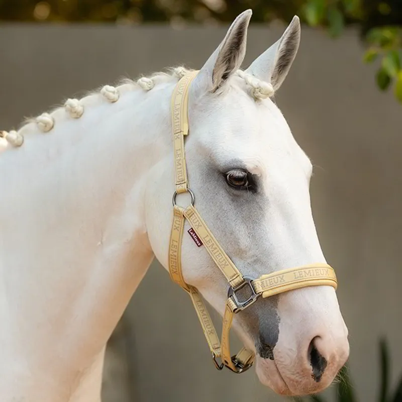 LeMieux Logo Halter - Mimosa-1