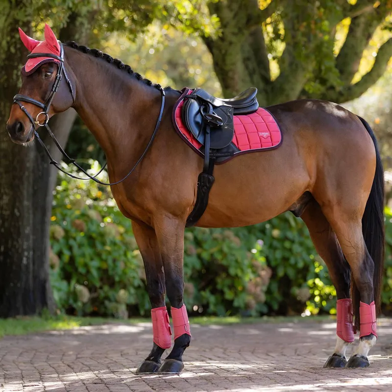 LeMieux Loire Classic Close Contact Saddle Pad - Cranberry-2