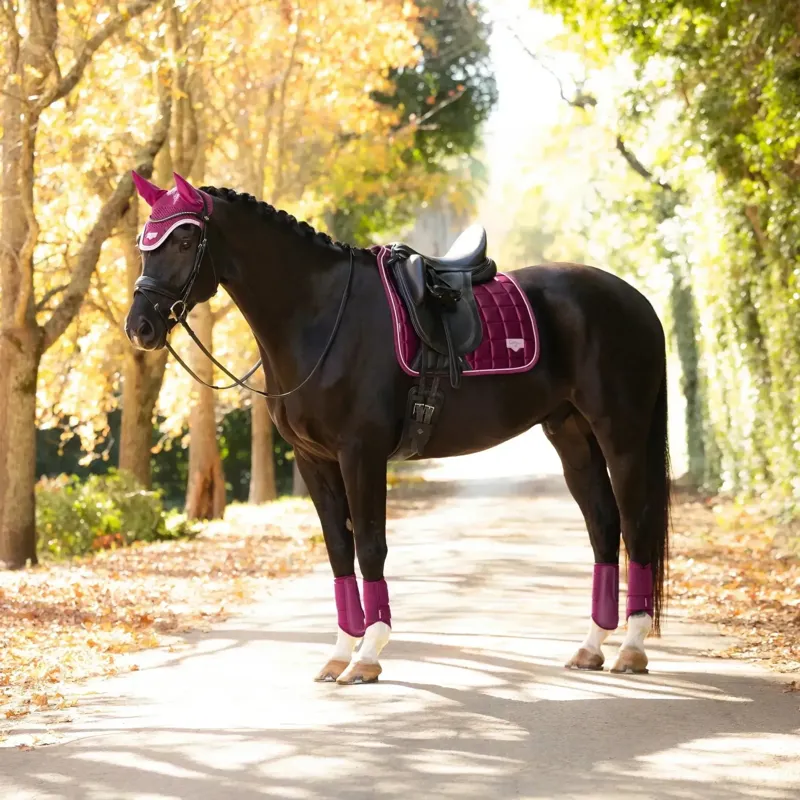 LeMieux Loire Classic Dressage Square Saddle Pad - Blackberry-6