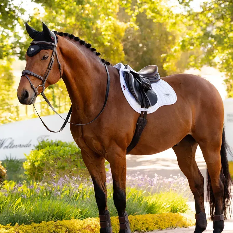 LeMieux Loire Classic GP Square - White-1