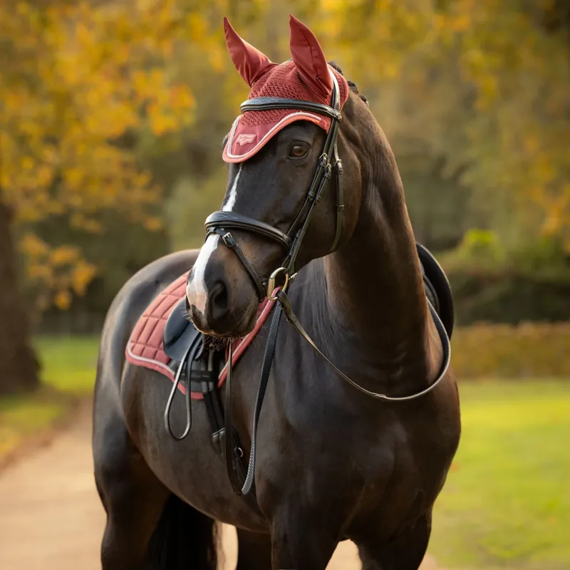 LeMieux Loire Fly Bonnet - Russet-1