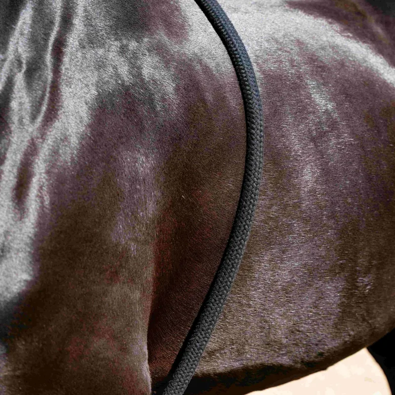 LeMieux Lunging Aid Rope - Black-3