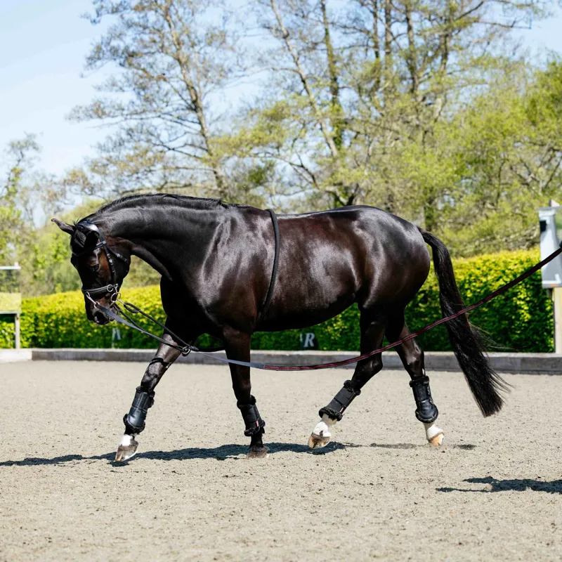 LeMieux Lunging Aid Rope - Black-2