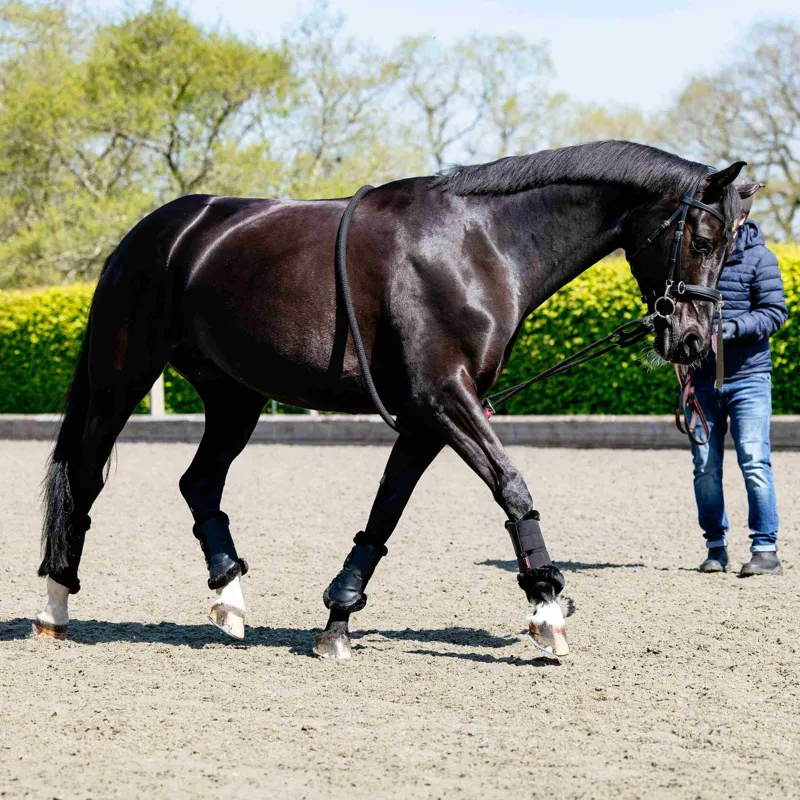 LeMieux Lunging Aid Rope - Black-1
