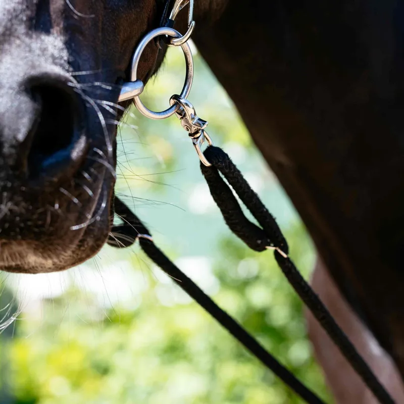 LeMieux Lunging Aid Rope - Black-4