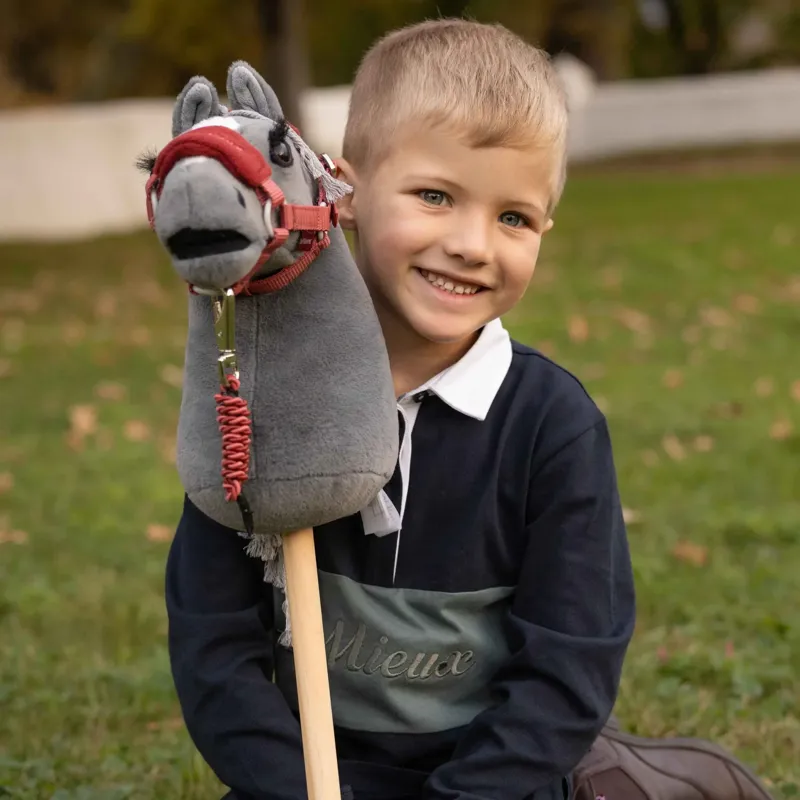 LeMieux Mini Hobby Horse Toy - Smokey-3