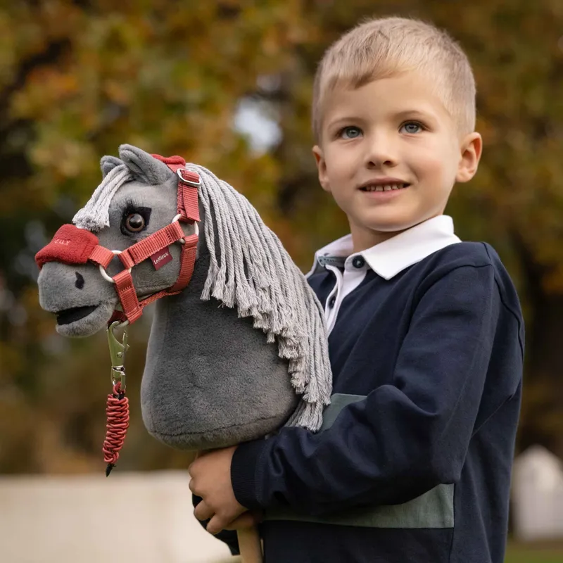 LeMieux Mini Hobby Horse Toy - Smokey-1