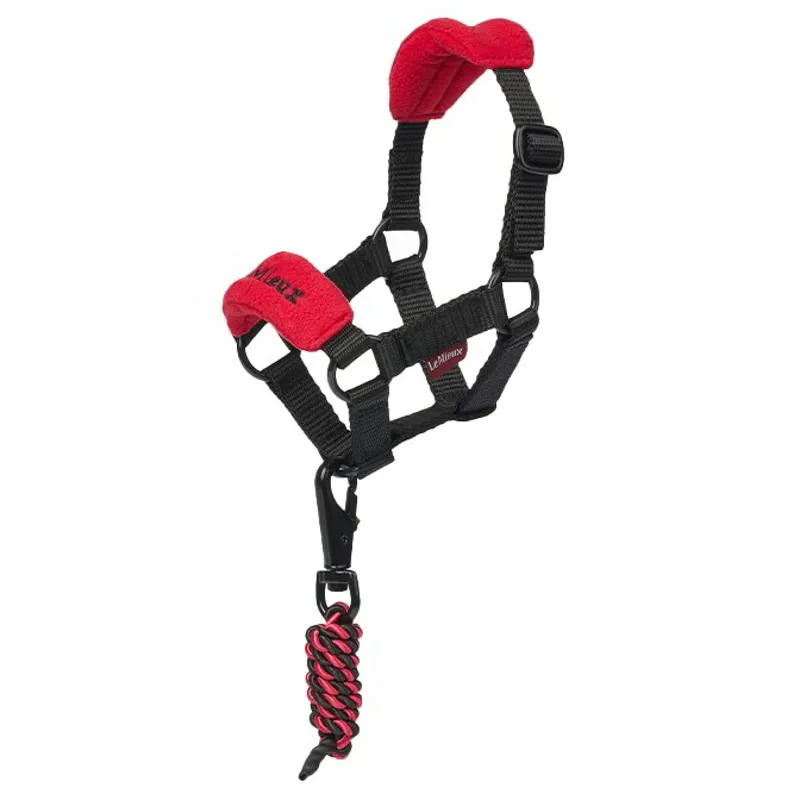LeMieux Mini Toy Pony Vogue Halter - Chilli
