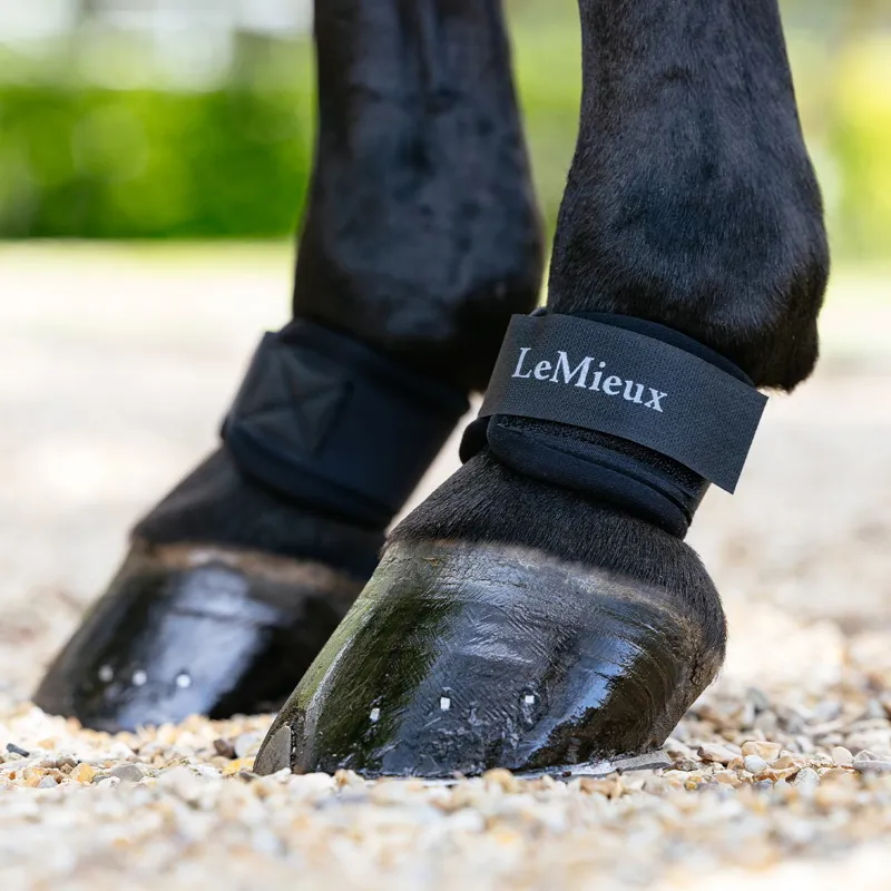 LeMieux Neoprene Pastern Wrap-Black-2
