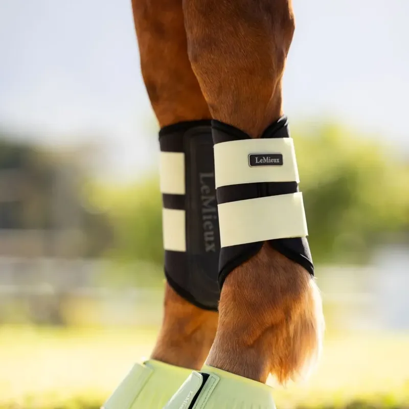 LeMieux Rubber Bell Boots - Macaron-2