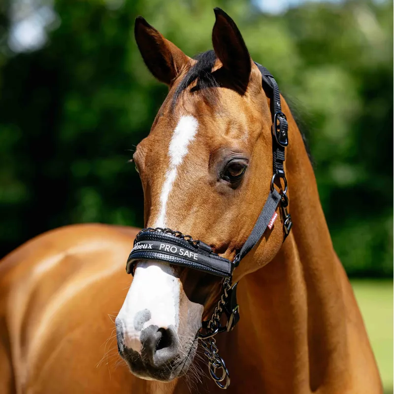 LeMieux Pro-Safe Safety Halter - Black