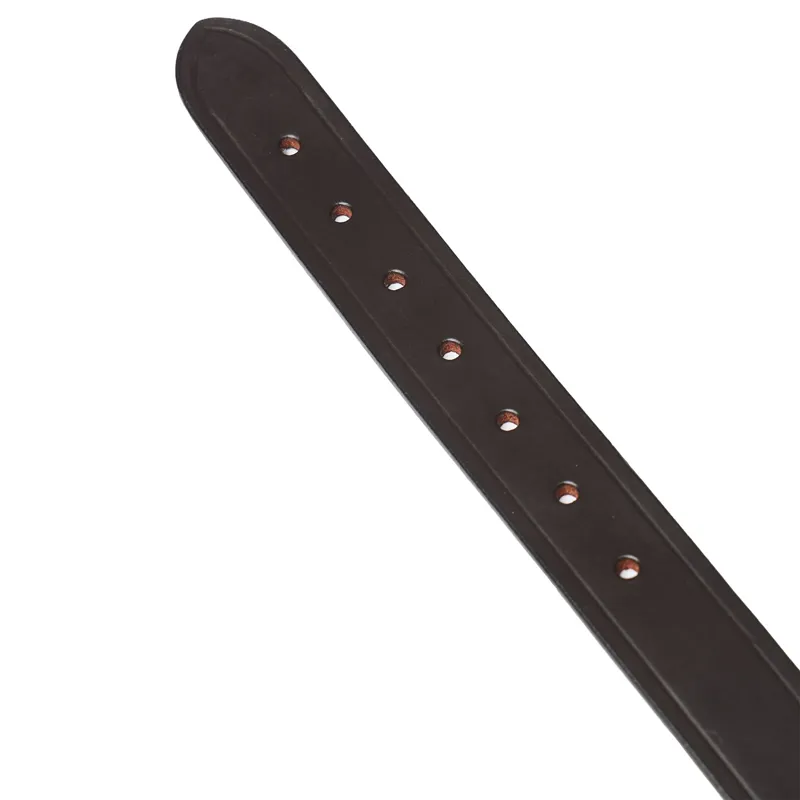 LeMieux Replacement Breakaway Halter Headpiece - Brown-1