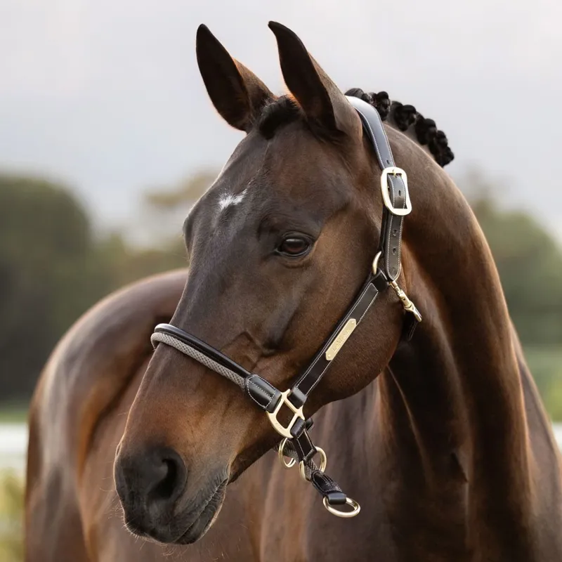 LeMieux Rope Control Halter - Pecan-1