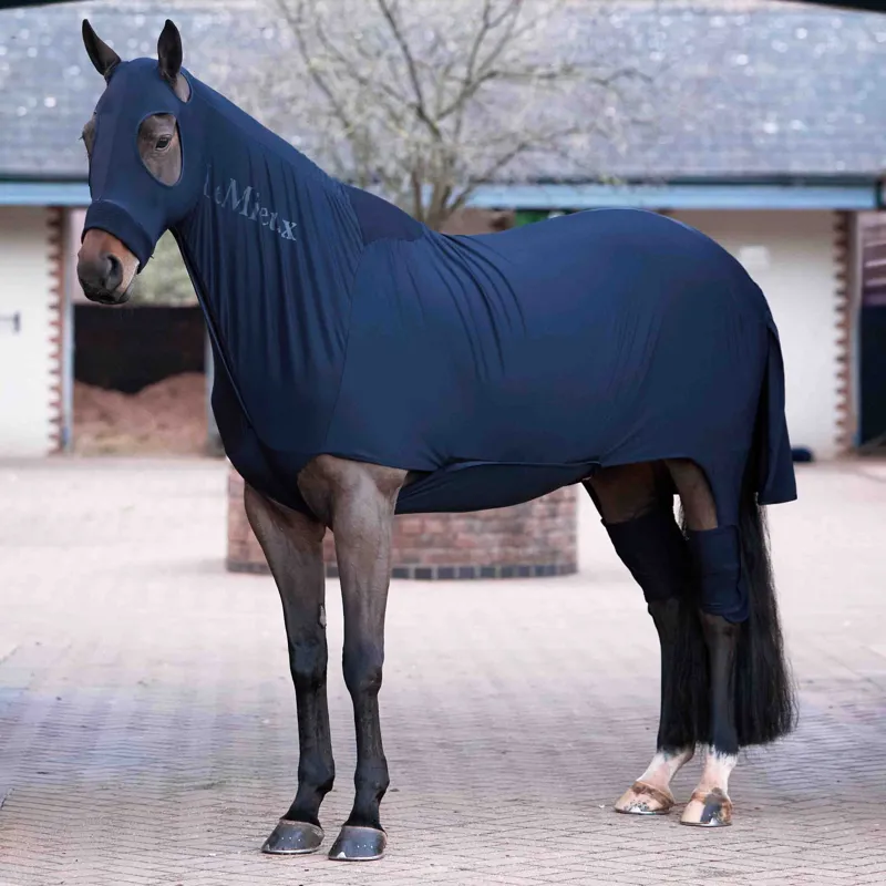 LeMieux Stretch Show Sheet - Navy-1