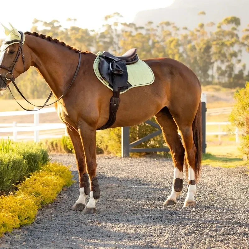 LeMieux Suede Close Contact Saddle Pad - Macaron-3