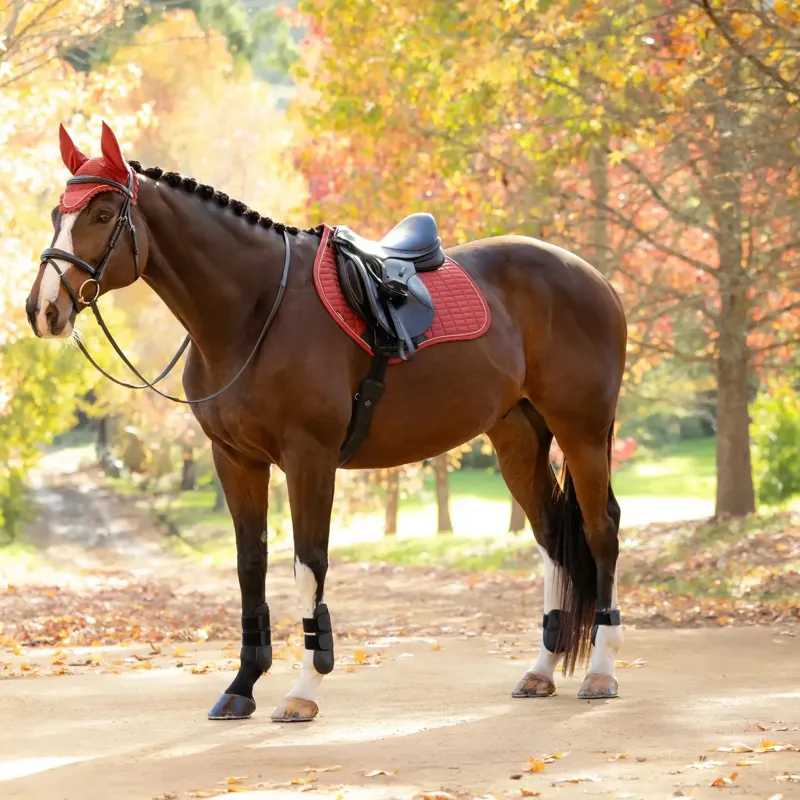 LeMieux Suede Close Contact Saddle Pad - Russet-3