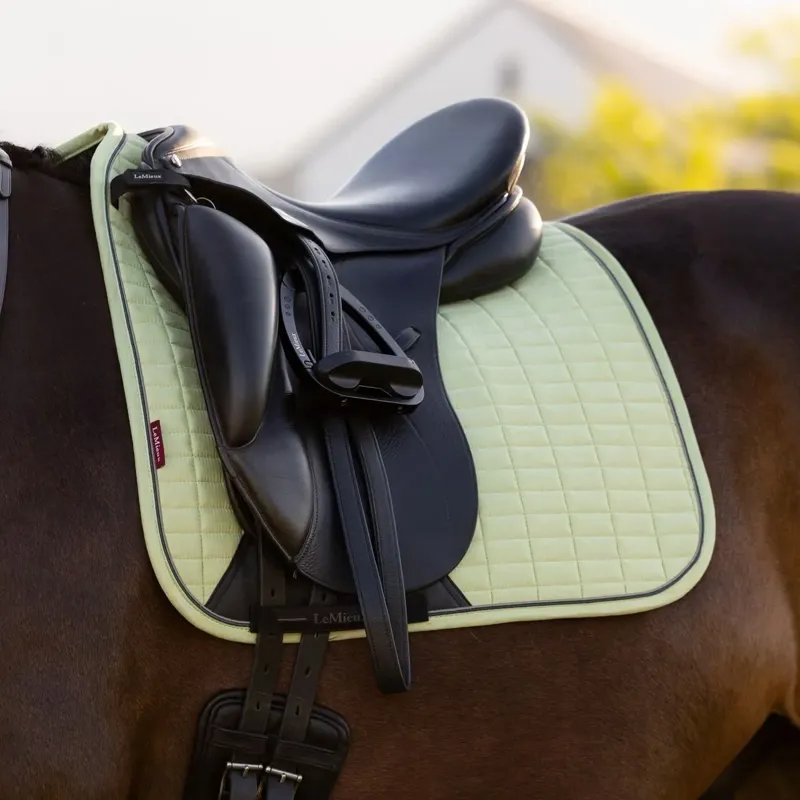 LeMieux Suede Dressage Saddle Pad - Macaron-1