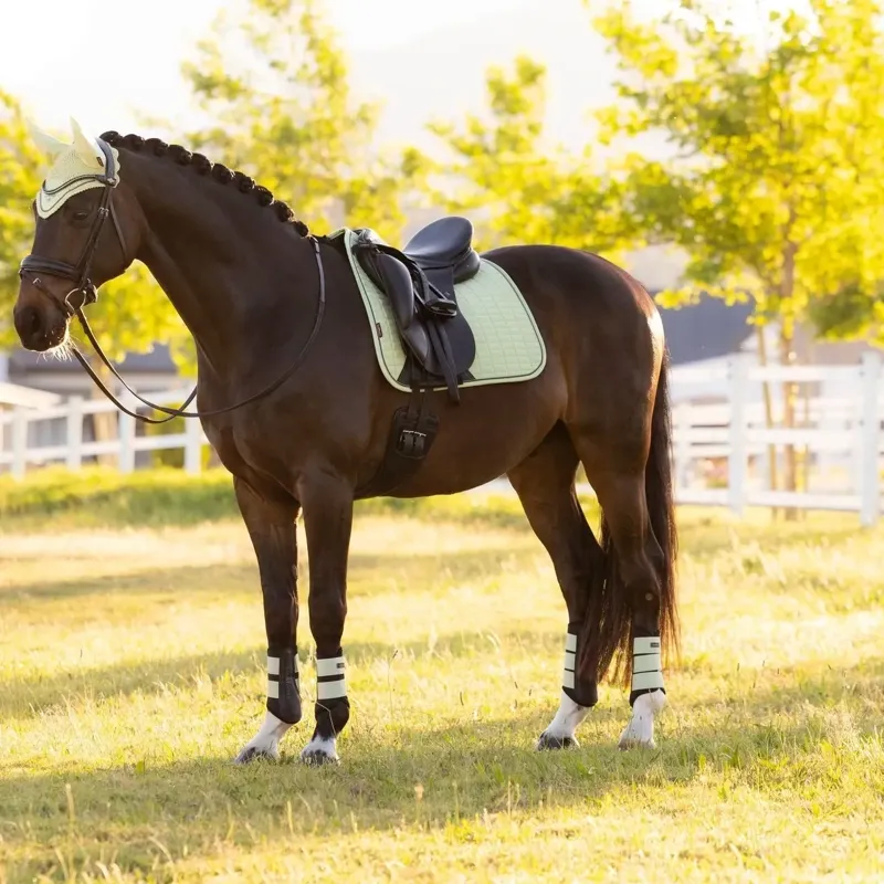 LeMieux Suede Dressage Saddle Pad - Macaron-2