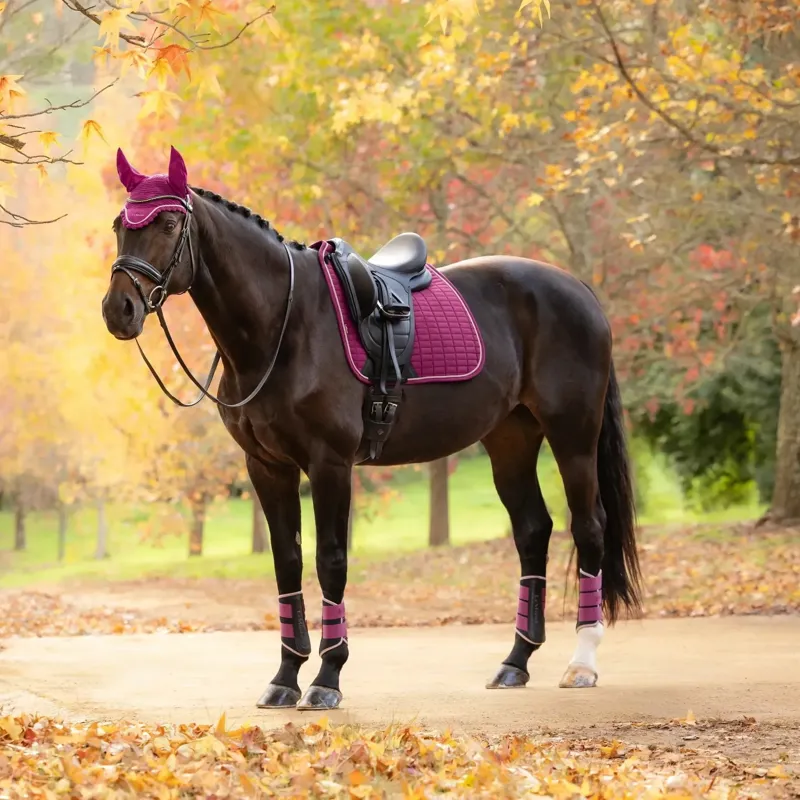 LeMieux Suede Dressage Saddle Pad - Blackberry-2