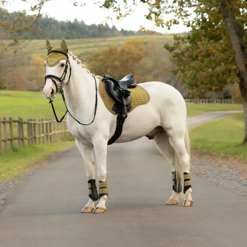 LeMieux Suede GP Saddle Pad - Gooseberry-2
