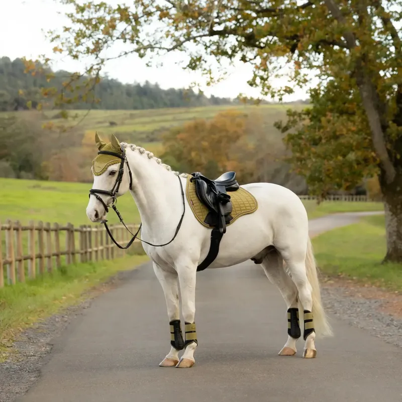LeMieux Suede GP Saddle Pad - Gooseberry-3