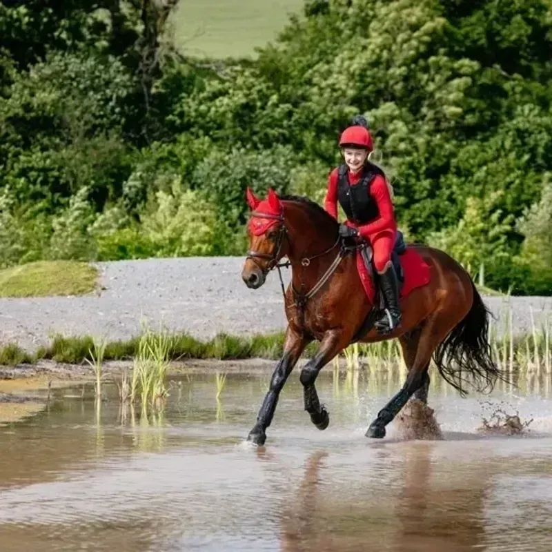 LeMieux Suede GP Saddle Pad - Chilli-2
