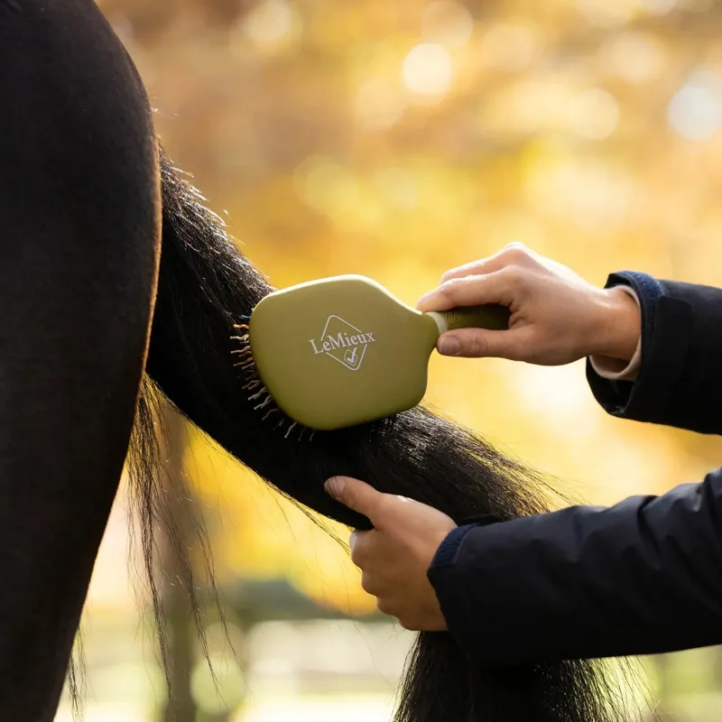 LeMieux Tangle Tidy Plus Mane and Tail Brush Gooseberry-1