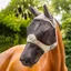 LeMieux Visor-Tek Full Fly Mask with Ears and Nose - Fern