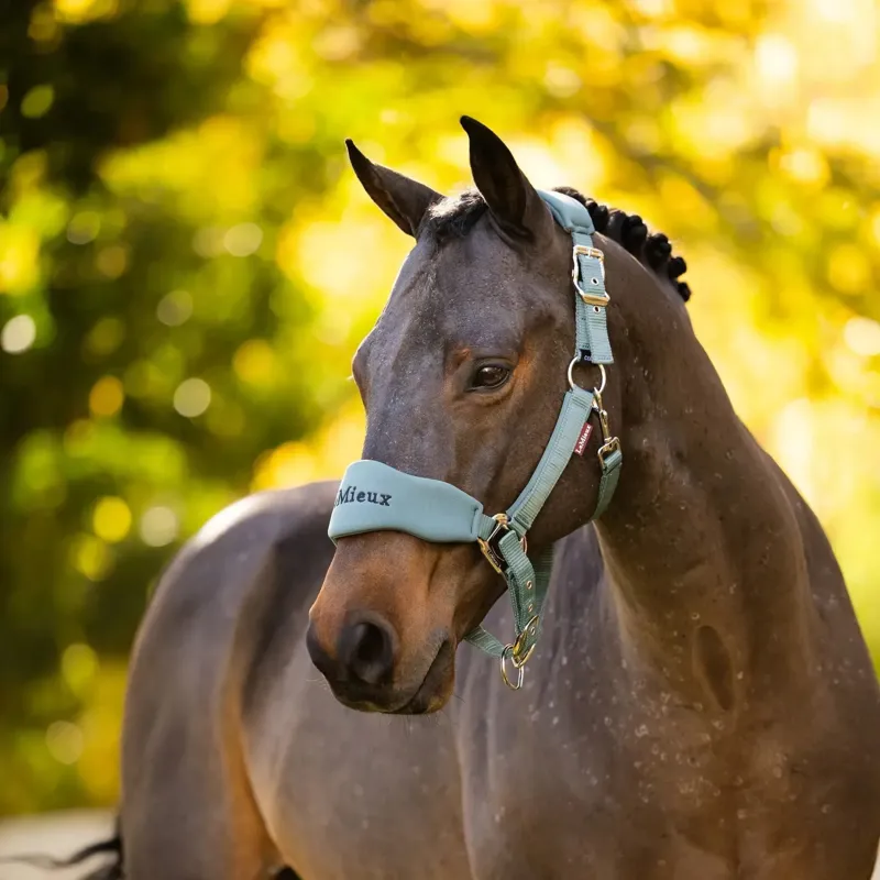 LeMieux Vogue Breakaway Halter - Aloe-2