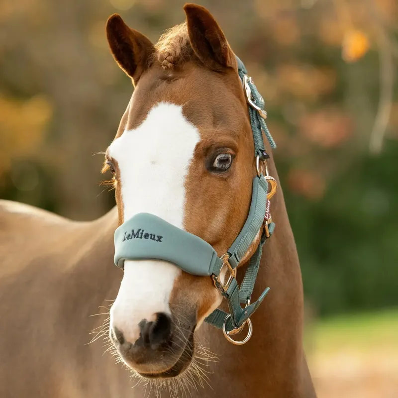 LeMieux Vogue Breakaway Halter - Aloe-1