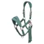 LeMieux Vogue Breakaway Halter - Aloe