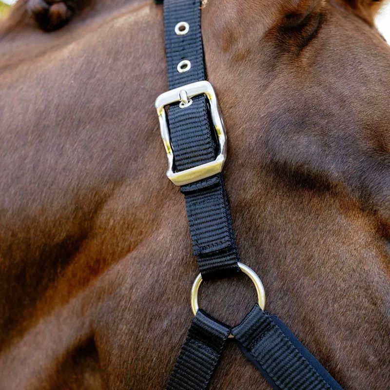 LeMieux Vogue Breakaway Halter - Black-2