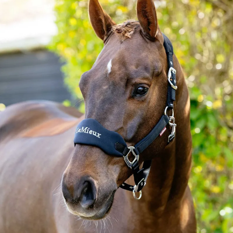 LeMieux Vogue Breakaway Halter - Black-1