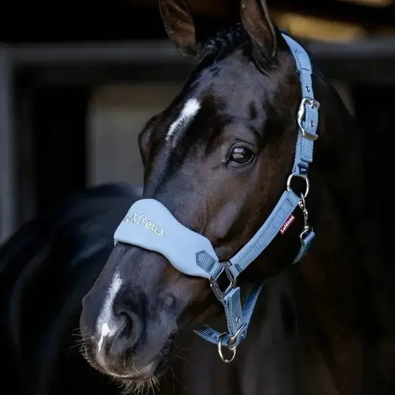 LeMieux Vogue Breakaway Halter - Ice Blue-1