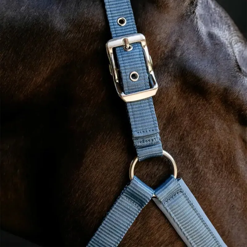 LeMieux Vogue Breakaway Halter - Ice Blue-3