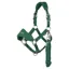 LeMieux Vogue Breakaway Halter - Hunter Green